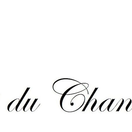 Logis Du Chandelier Le Puy-en-Velay Luaran gambar