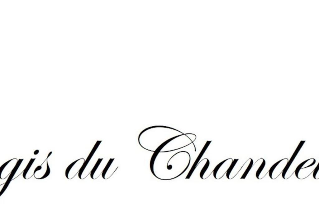 Logis Du Chandelier Le Puy-en-Velay Luaran gambar